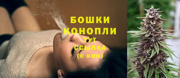 прущий лед Арсеньев