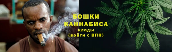 ешки Аркадак