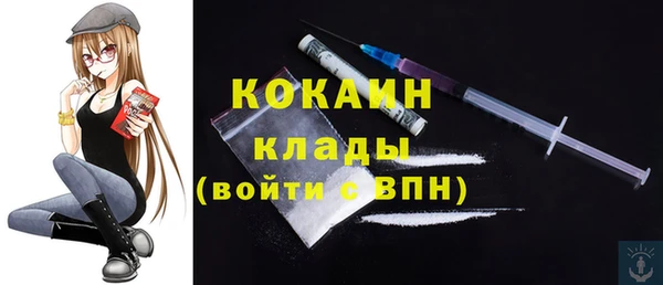 ешки Аркадак