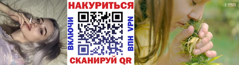 где можно купить   omg ONION  Канабис планчик  Строитель 
